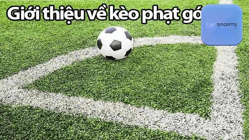 Soi kèo phạt góc bạn có thể tham gia ở những thể loại nào?